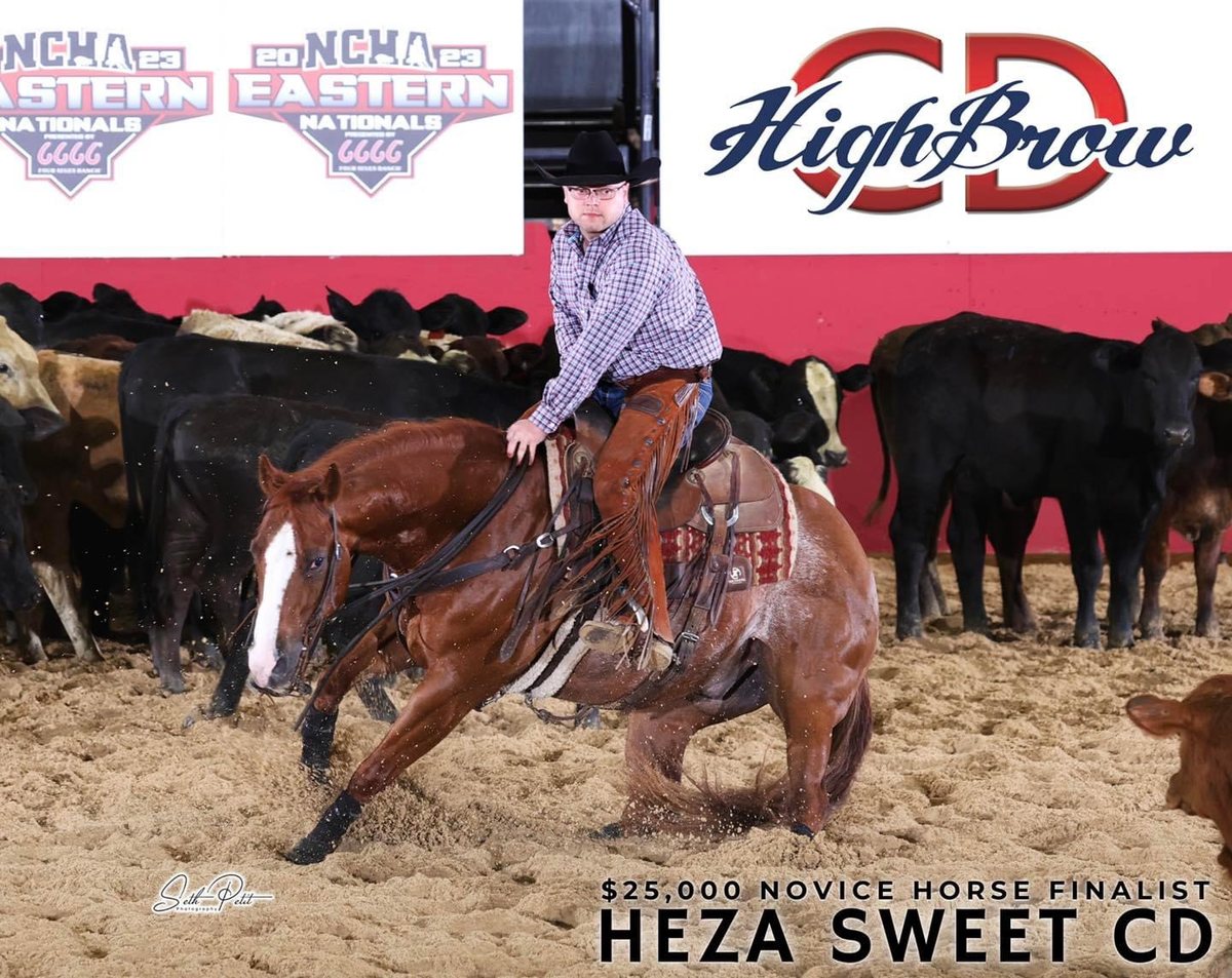 Matt Williams, professional cutting horse trainer