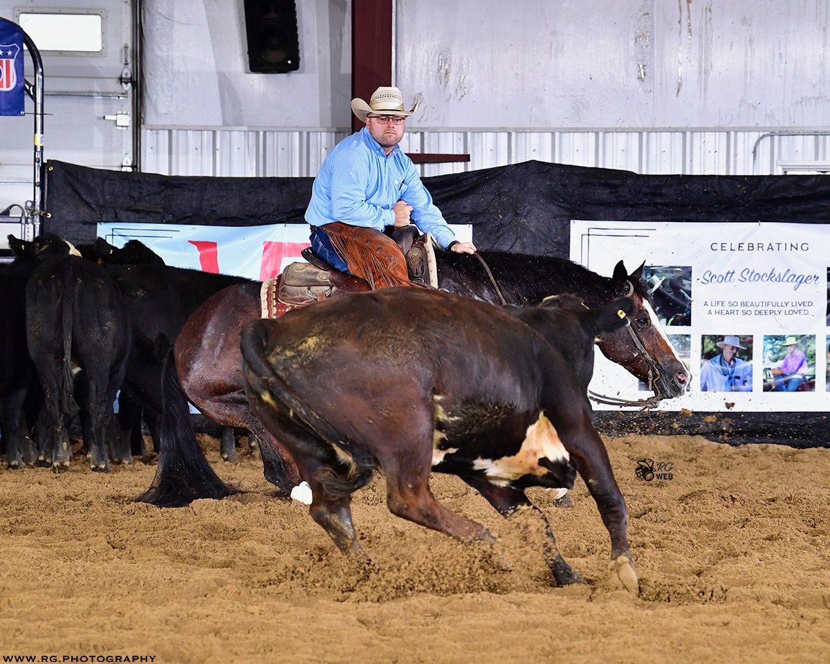 Trainer and cutting horse posed with cattle