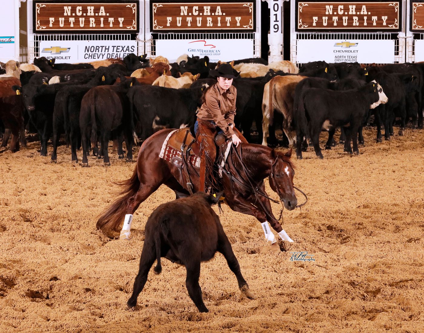 Championship presentation in the cutting arena