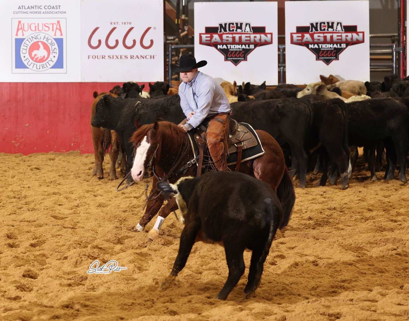 Cutting horse run in competition