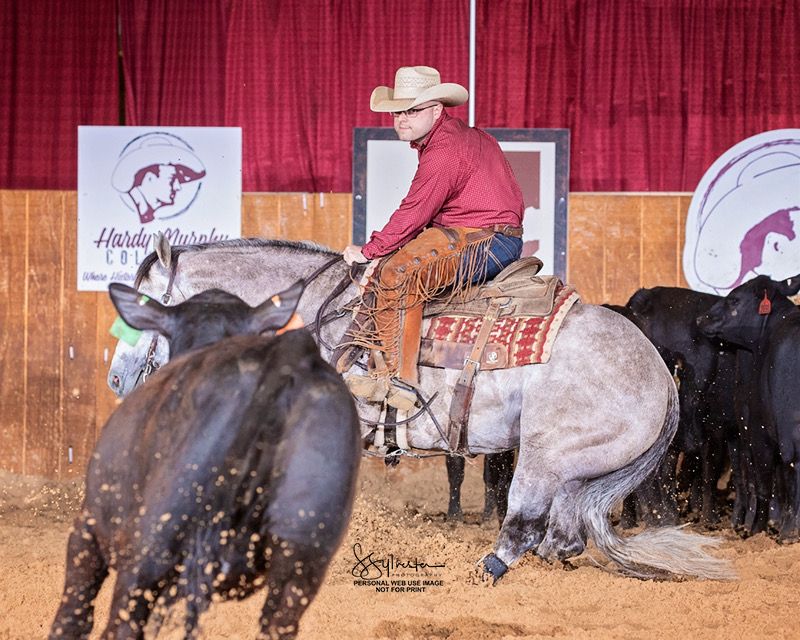 Cutting horse competing