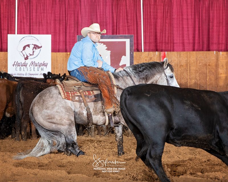 Cutting horse run
